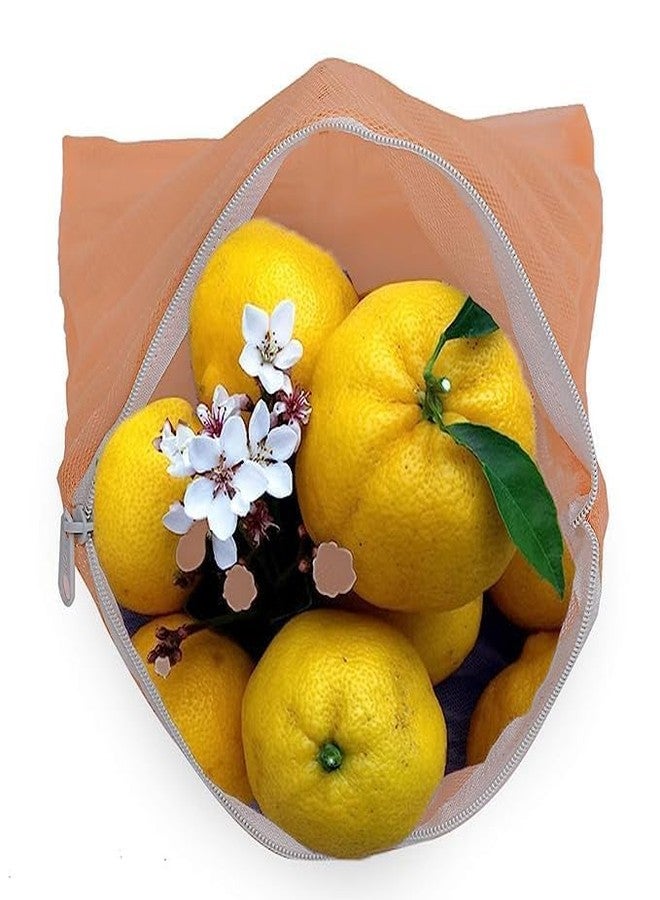 PUTHAK 12Pcs Multipurpose Zipper Bag for Fruits and Vegetables Fridge Washable Bags (Set of 12) Multicolour - Image 4