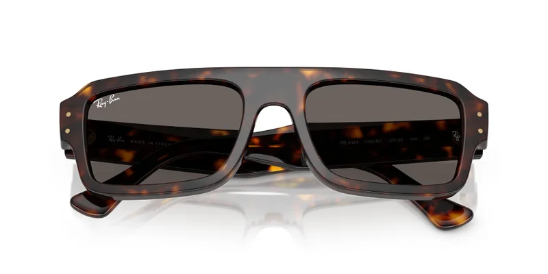 Ray-Ban 0Rb4454 Rectangle Sunglasses