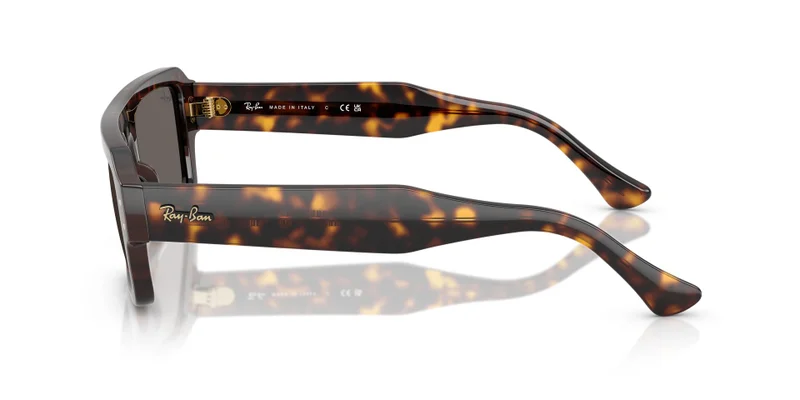 Ray-Ban 0Rb4454 Rectangle Sunglasses