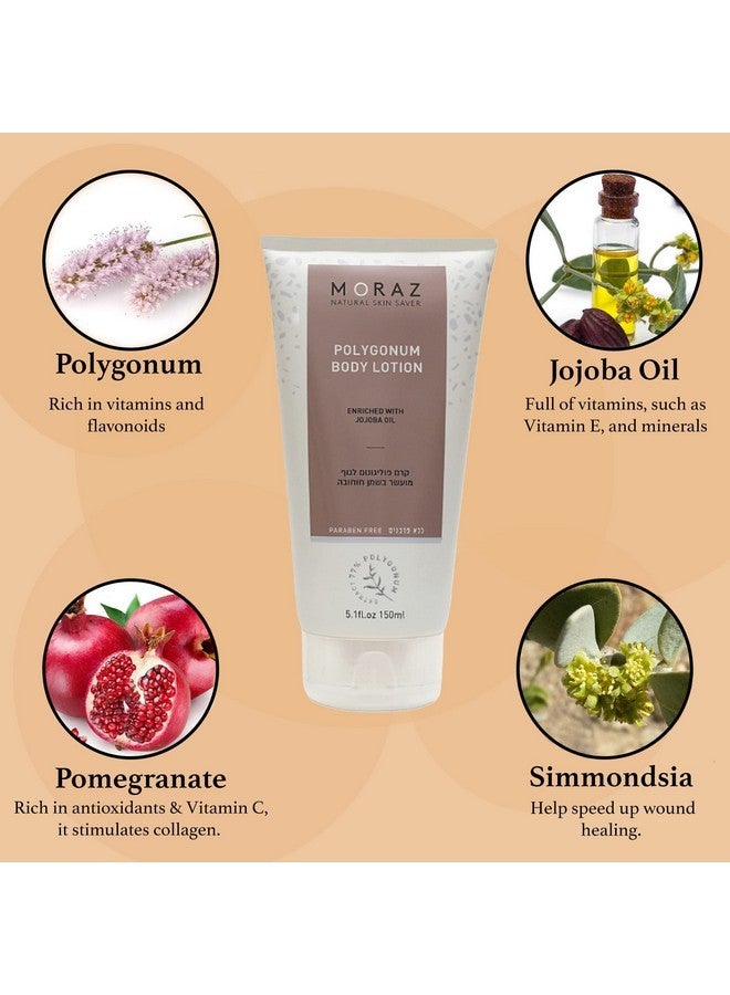 موراز لوشن موراز الطبيعي للجسم للبشرة الجافة بخلاصة بوليغونوم وزيت الجوجوبا، مرطب للبشرة للنساء والرجال، ترطيب طويل الأمد للبشرة، 5.1 أونصة سائلة - Image 4
