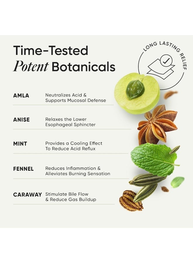 ويلبيينج نيوتريشن ويلبينج نيوترشن ميلتس أسيديتي 30 شريط فموي - Image 3