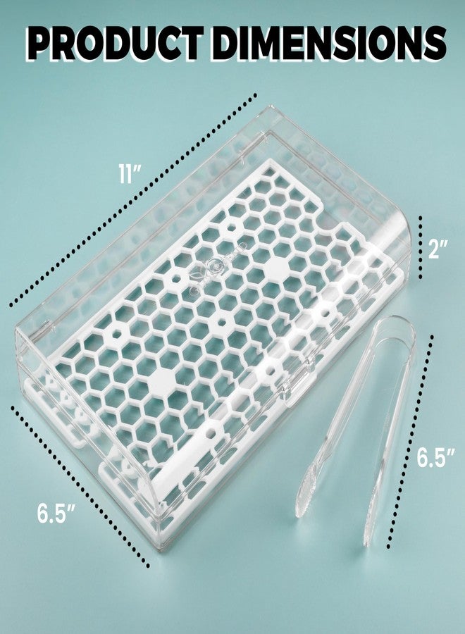 GlossyEnd Deli Meat and Cheese Storage Container with Tong, Bacon Storage Container with Perforated Tray for Freshness, Clear Durable Plastic - Dishwasher and Freezer Safe - Size: 11” x 6.5” x 2” - Image 2