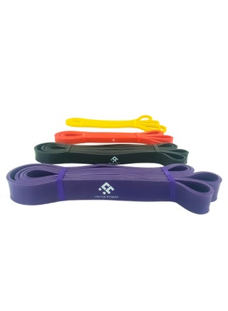 Resistance Bands Pull Up Assist Bands set, 4 Different levels Exercise Workout Bands available to choose for Powerlifting, Muscle Toning, CrossFit, Yoga, Stretch Mobility, Strength Training for Men and Women - pzsku/Z617376699401244F0E89Z/45/_/1739875840/763109af-ac4a-4184-b425-c4fbb6ddf285