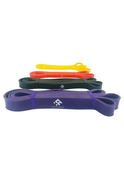 Resistance Bands Pull Up Assist Bands set, 4 Different levels Exercise Workout Bands available to choose for Powerlifting, Muscle Toning, CrossFit, Yoga, Stretch Mobility, Strength Training for Men and Women