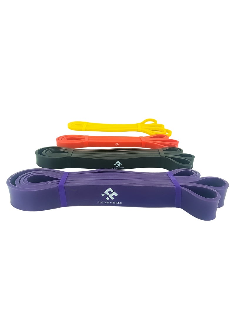 Resistance Bands Pull Up Assist Bands set, 4 Different levels Exercise Workout Bands available to choose for Powerlifting, Muscle Toning, CrossFit, Yoga, Stretch Mobility, Strength Training for Men and Women