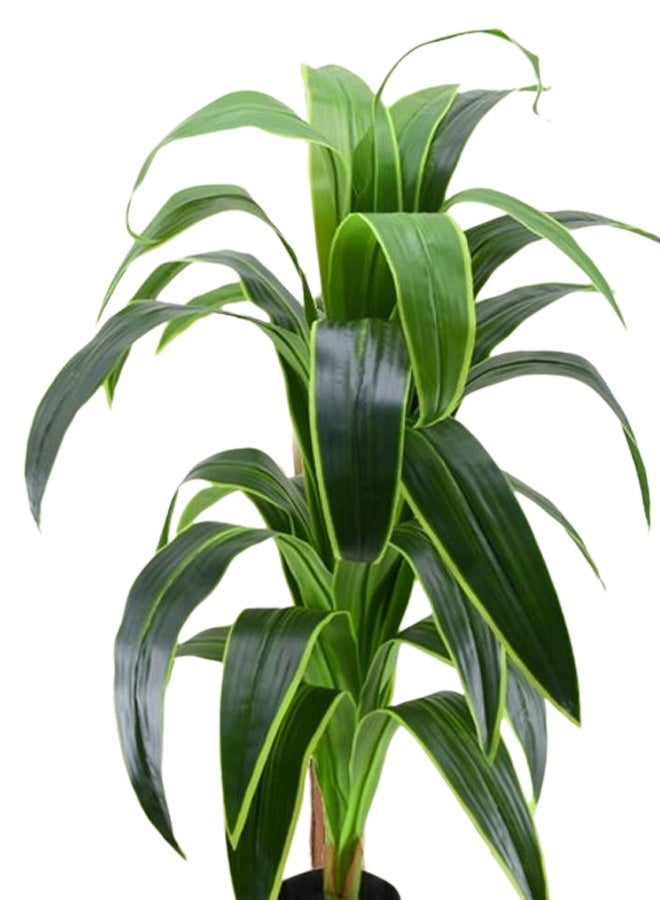 درامــــــا هوم  شجرة صناعية ديكورية دراسينا بارتفاع 120 سم – أوراق خضراء طبيعية بلمسة واقعية – مثالية للمنزل، المكتب، الصالات والفنادق - Image 4