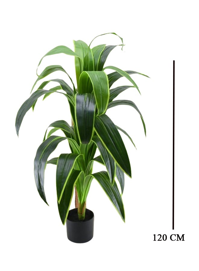 درامــــــا هوم  شجرة صناعية ديكورية دراسينا بارتفاع 120 سم – أوراق خضراء طبيعية بلمسة واقعية – مثالية للمنزل، المكتب، الصالات والفنادق - Image 2