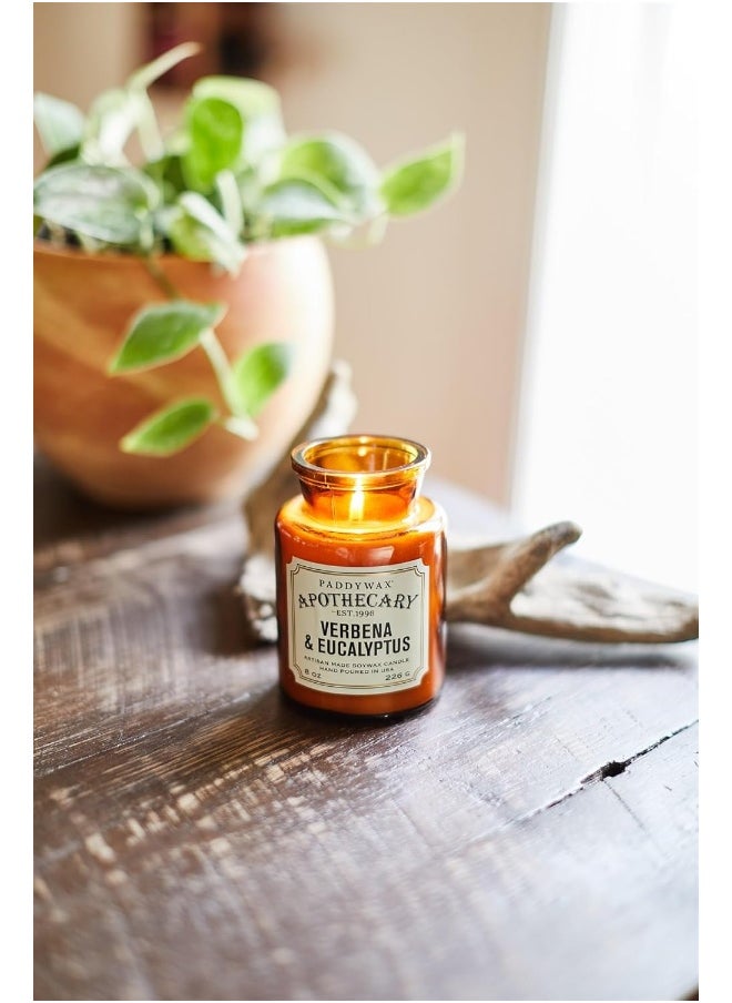 Paddywax Paddywax Candles Apothecary Collection Soy Wax Blend Candle in Glass Jar, Medium, 8 Ounce, Vetiver & Cardamom  - Image 4