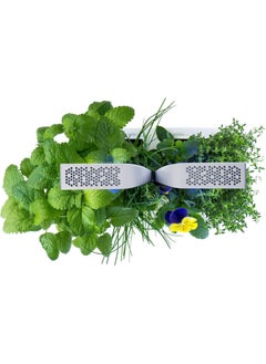 Veritable Véritable Smart Indoor Garden, Artic White  - Image 3