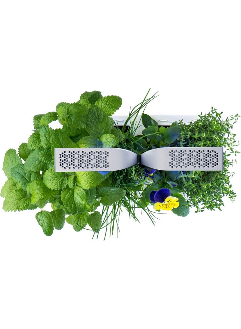 Veritable Véritable Smart Indoor Garden, Artic White  - Image 3