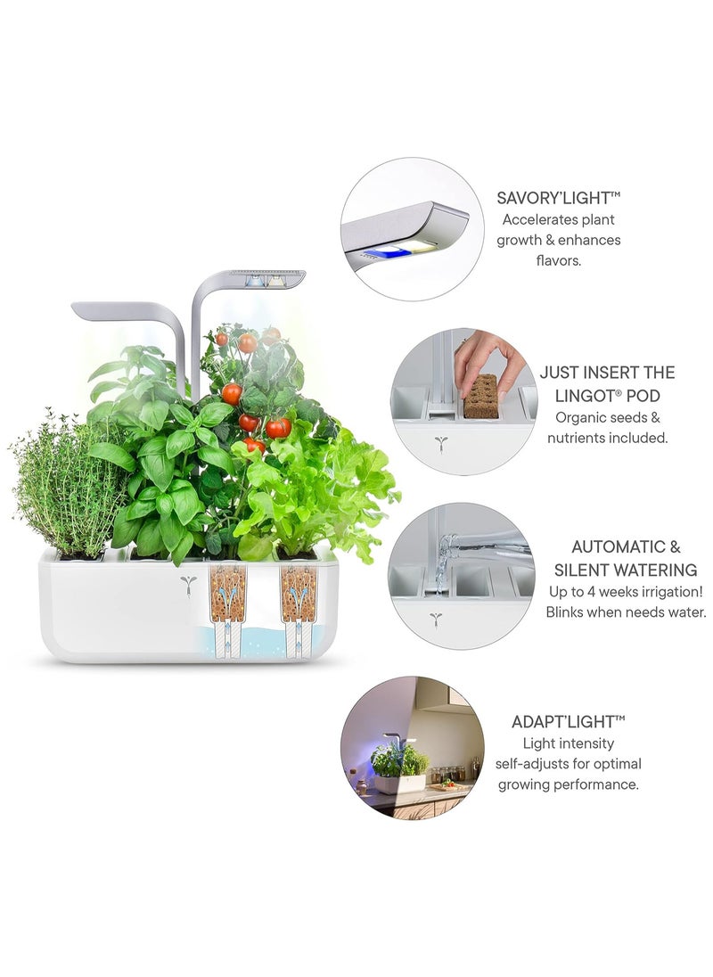 Véritable Smart Indoor Garden, Artic White - pzsku/Z6175A3FE5C505814E7BCZ/45/_/1732189531/cd756c81-4a60-4924-bf74-dfe19f1ed99b