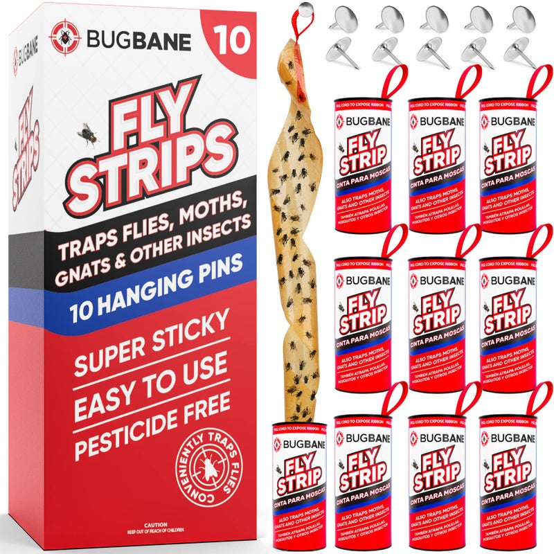 BugBane Fly Strips Indoor Sticky Hanging 10pk with Pins. Non Toxic Outdoor Fly Trap Indoor for Home. Flies Tape Paper Trap Ribbon Roll for House Gnat Fruit and Housefly. Bug Catchers for Inside Home Flypaper - Image 1