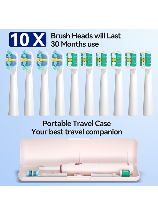 SEAGO Electric Toothbrush with 10 Brush Heads,Travel with Travel Case and Holder,Smart Timer for Adults,SG-2316(Pink) - Image 5