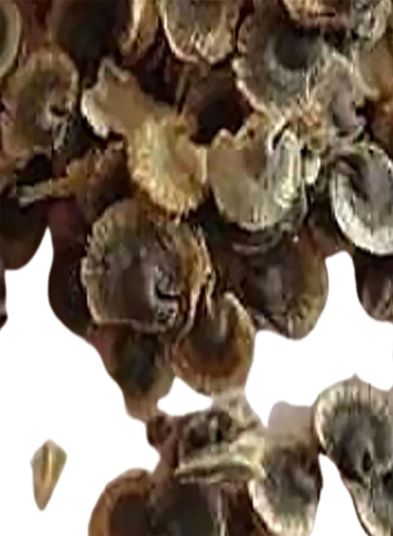 جي جوت 100 قطعة من بذور الجربيرا، بذور زهرة الجربيرا الملونة الرائعة والرشيقة للحديقة، بذور المارجريت للاستخدام المنزلي - Image 4