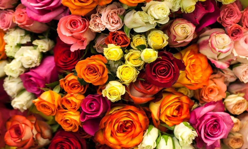 S2S قماش خلفية بتصميم متعدد من زهور الورد الأنيقة | قماش ديكور خلفية لحفلات المنزل | لجميع المهرجانات/الفعاليات المنزلية/المناسبات - (5 × 8 قدم) (زهور الورد) - Image 4