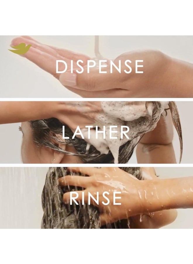 دوف شامبو وبلسم دوف المقوي للشعر التالف، شامبو وبلسم عميق لإصلاح الشعر الجاف، من فرومولا مع الكيراتين النشط، 12 أونصة، عبوة واحدة (عبوة من قطعتين) - Image 5