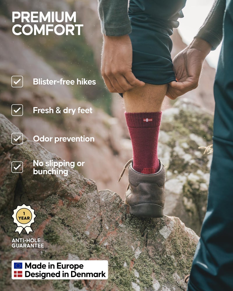 DANISH ENDURANCE جوارب المشي من الصوف ميرينو للرجال والنساء من دانش إندورانس - جوارب مشي تمتص الرطوبة ومبطنة لمنع الفقاعات وآلام القدمين - أحجام صغيرة ومتوسطة وكبيرة - عبوة مكونة من 3 أزواج للرجال والنساء - Image 3