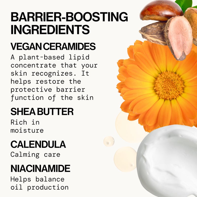 Pacifica Face Cream - Vegan Ceramide Barrier Cream w/Niacinamide & Shea Butter - Hydrating Daily Face Moisturizer Fragrance Free for Sensitive Skin, Vegan, Clean Beauty Allergy & Dermatologist Tested - Image 2