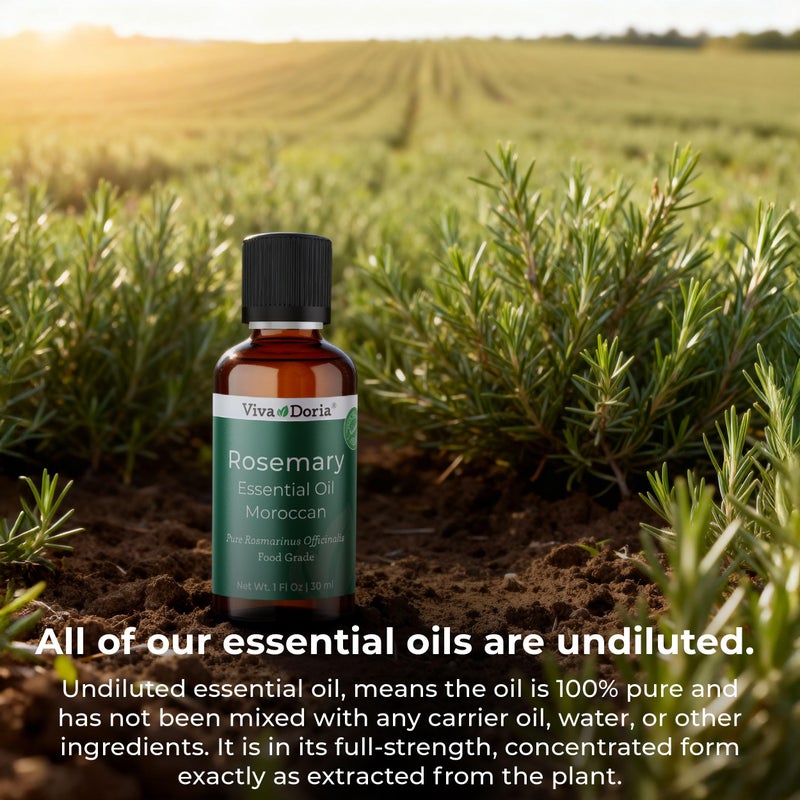 Viva Doria Rosemary Essential Oil, 100% Pure, Natural Essential Oil, Undiluted, for Aromatherapy | Food Grade, 30 mL (1 Fluid Ounce) - Image 5