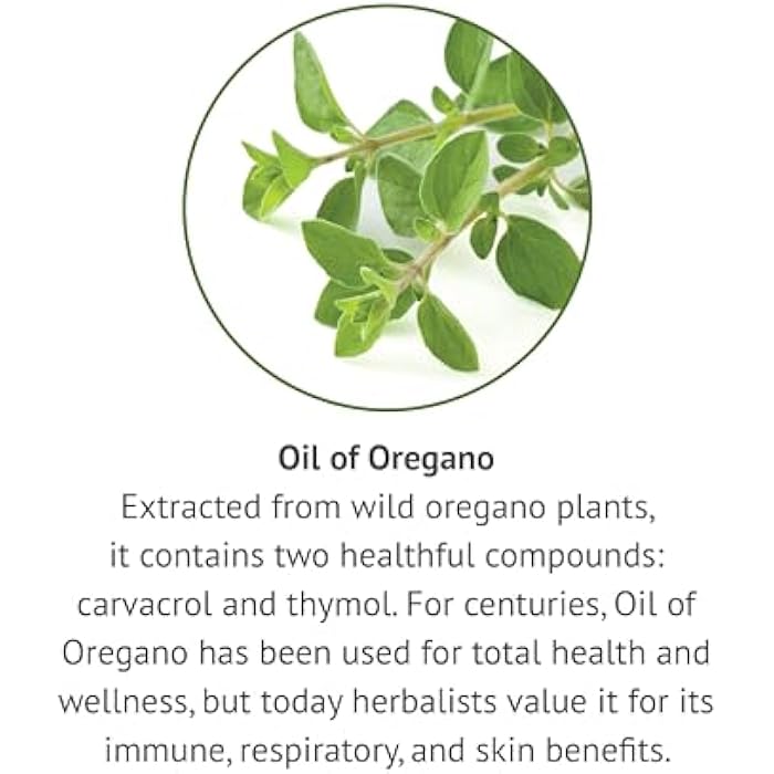 Botanic Choice Oil of Oregano Liquid Extract - Alcohol Free Herbal Supplement, Traditional Support for Immune and More - 1 Fl. Oz. - Image 4