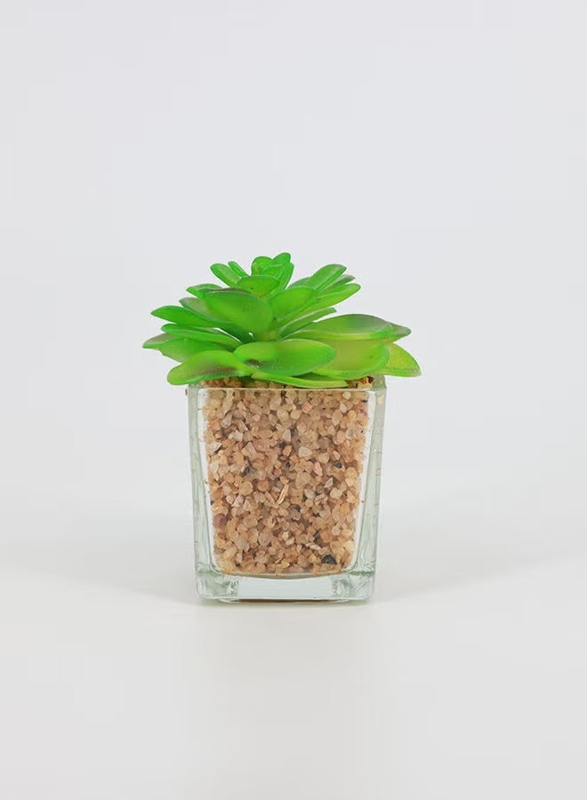 Rahalife Artificial Succulent Bonsai – Realistic Green Decorative Plants Pack of 2 - Image 1