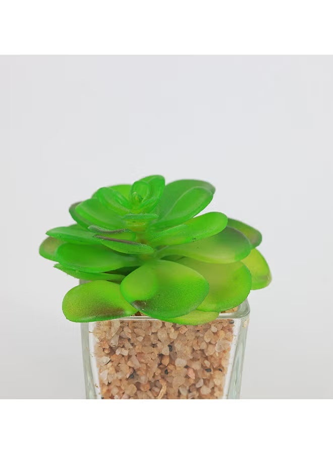 Rahalife Artificial Succulent Bonsai – Realistic Green Decorative Plants Pack of 2 - Image 3
