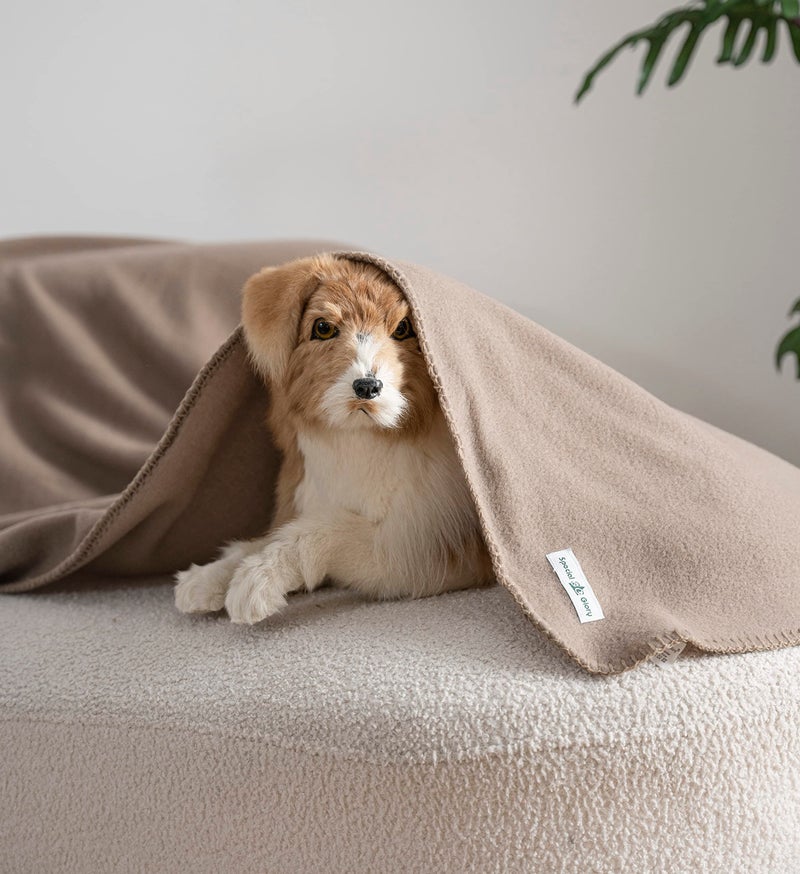 Special SG Glory Fleece Throw Blanket Set Bulk for Travel Kids Outdoor Wedding Pet (Camel, Pack of 6 50x60 Inches) - Image 5