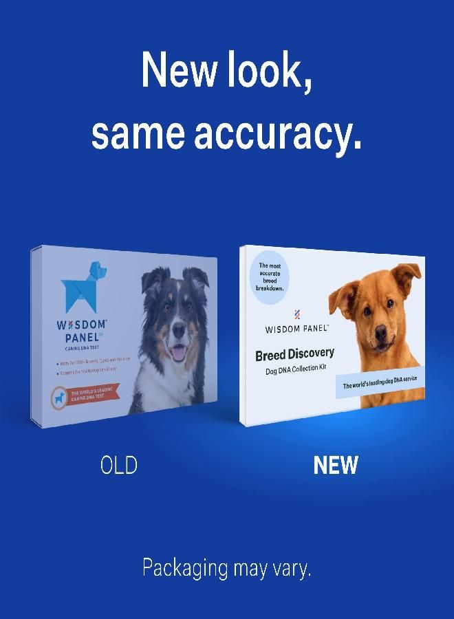 Wisdom Panel Breed Discovery 3.0: Dog DNA Test Kit for Most Accurate Breed ID | MDR1 | Ancestry | Relatives