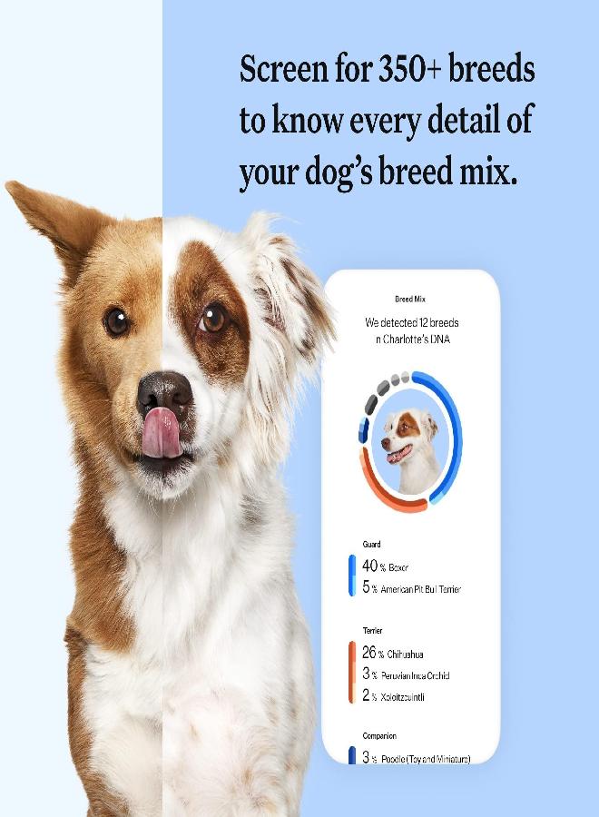 Wisdom Panel Breed Discovery 3.0: Dog DNA Test Kit for Most Accurate Breed ID | MDR1 | Ancestry | Relatives