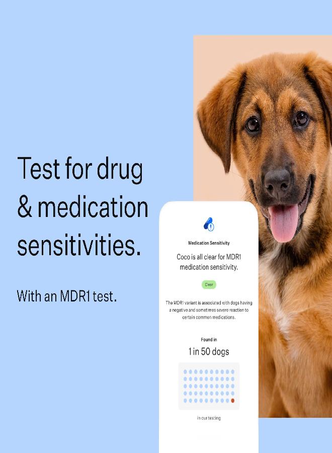 Wisdom Panel Breed Discovery 3.0: Dog DNA Test Kit for Most Accurate Breed ID | MDR1 | Ancestry | Relatives