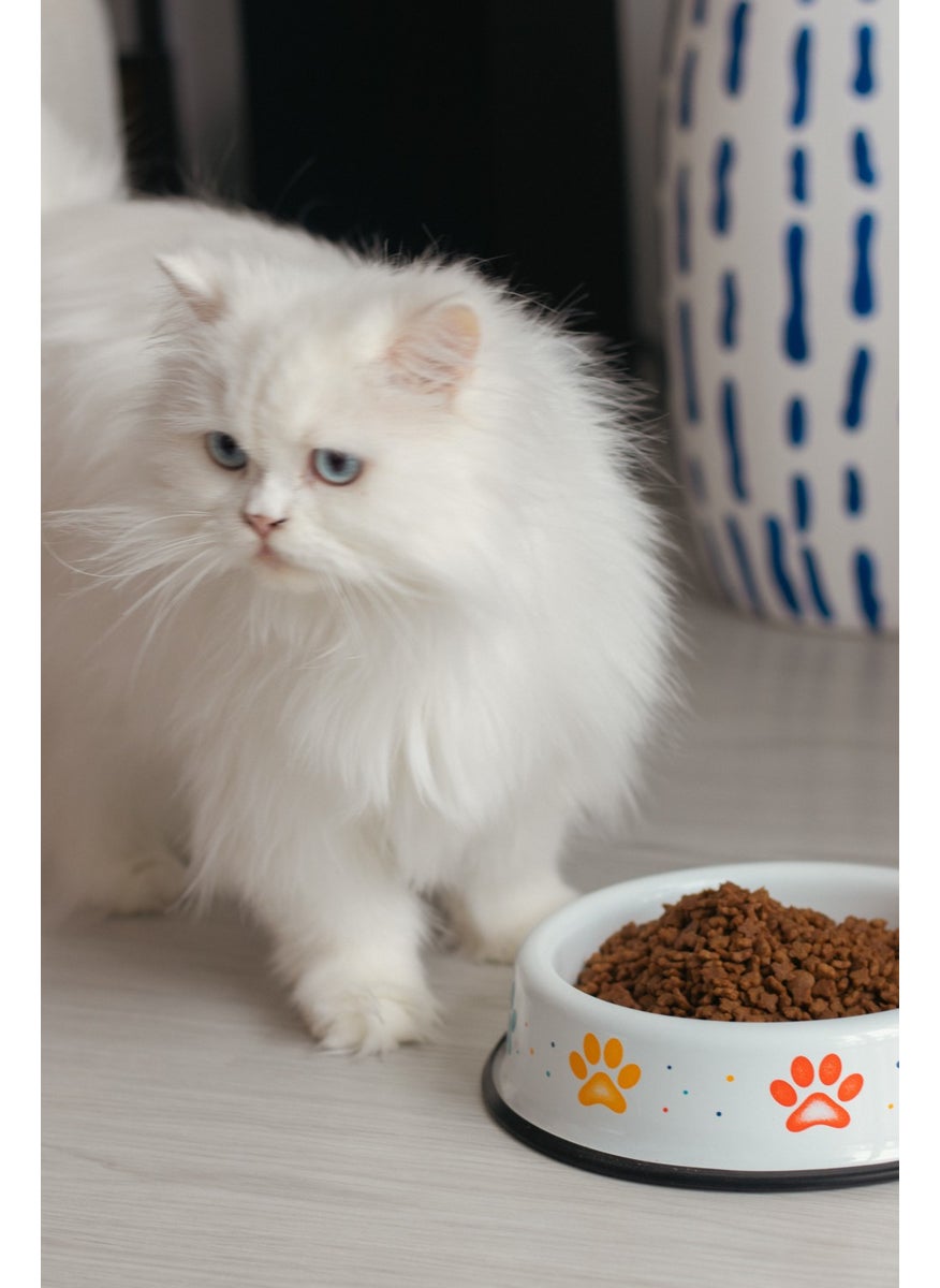 Enamel Cat Dog Food and Water Bowl Colorful Paw - pzsku/Z6180D7599774F62DE52AZ/45/_/1735495571/8890d678-dc12-4d68-b2de-0ec531a8721a