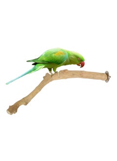 CHEWY BEAK Natural parrot perch for medium parrots, made of solid java wood suitable for all bird cages  - Image 1