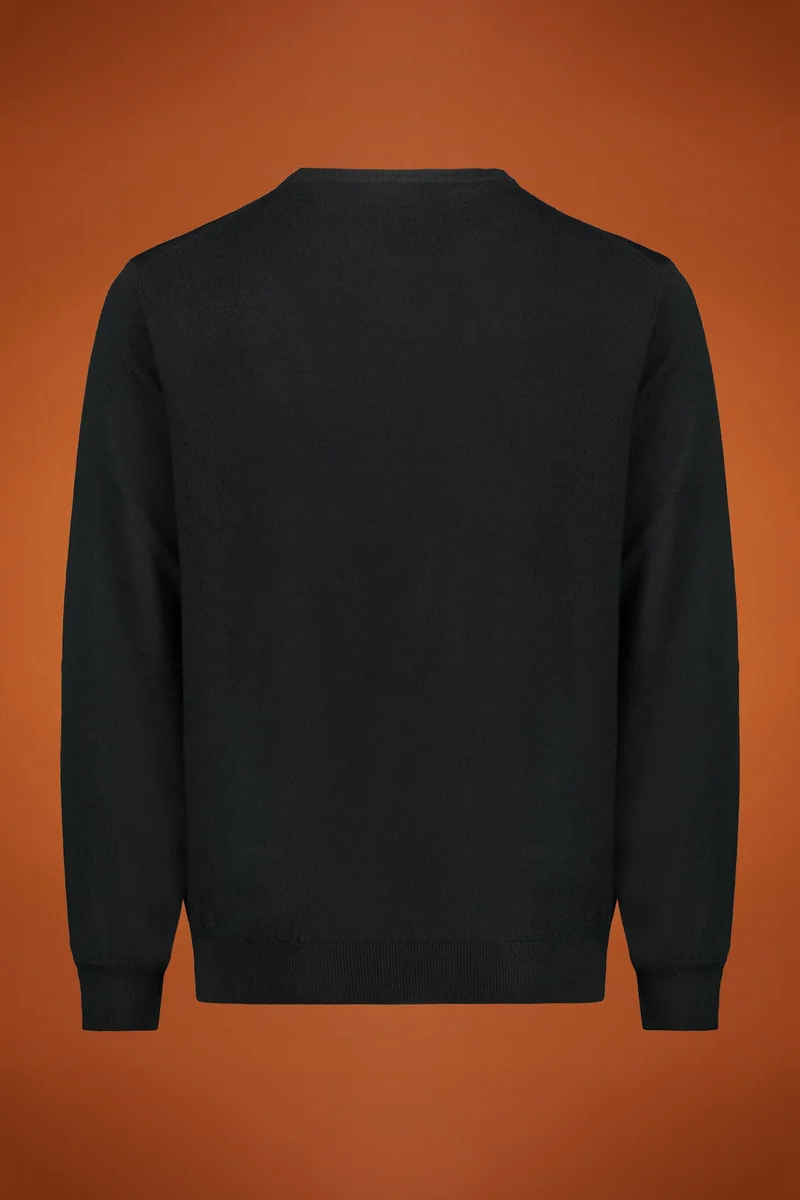 Doppelganger Green Men's regular fit crew neck jumper in 100% extra fine merino wool - DK Green for Men | Best Price UAE