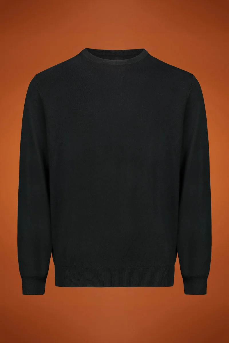 Men's regular fit crew neck jumper in 100% extra fine merino wool - DK Green