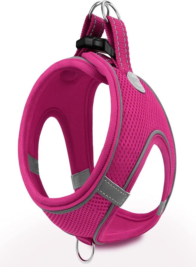 Joytale Small Dog Harness, Breathable Mesh Step-in Vest, Reflective Soft Padded Harnesses for Small and Medium Dogs, Hot Pink, L - Image 1