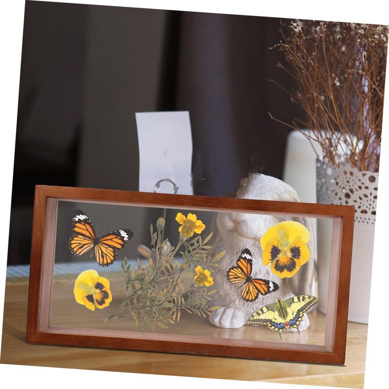 2pcs Dried Flower Shadow Box Frame Display Case for Plant Specimens Unique Home Decor Natural for Desktop Arrangements Creative Idea - Image 2
