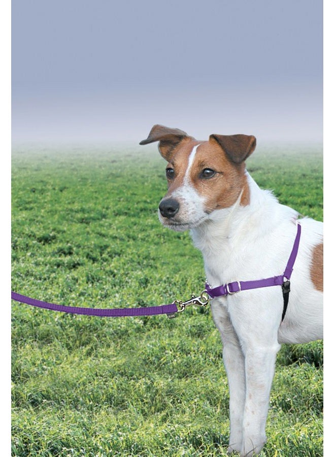 PetSafe Easy Walk No-Pull Dog Harness - The Ultimate Harness to Help Stop Pulling - Take Control & Teach Better Leash Manners - Helps Prevent Pets Pulling on Walks - Small, Deep Purple/Black - Image 2