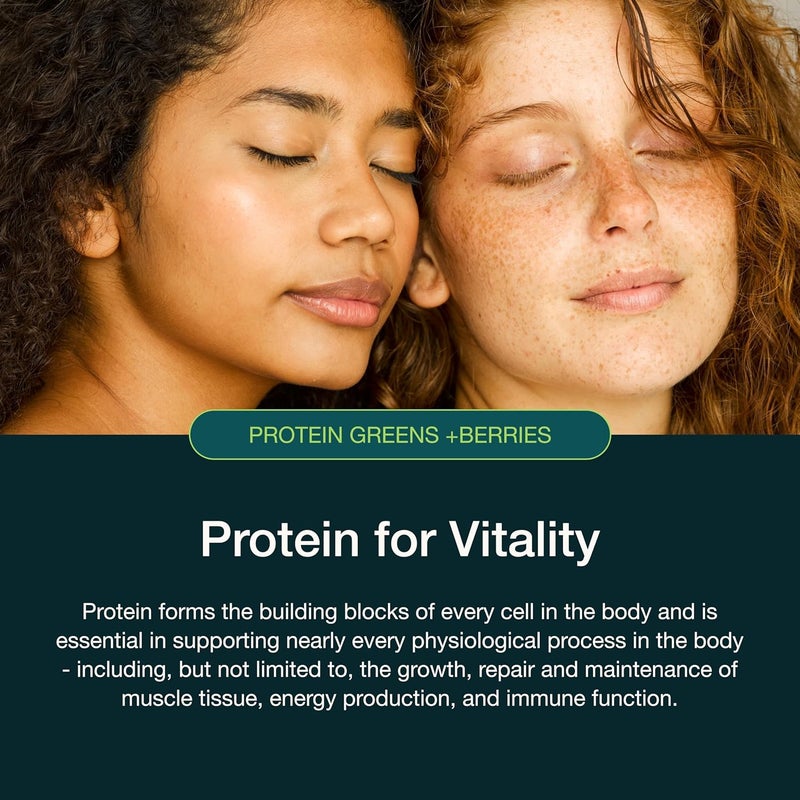 Nuzest نوزيست بروتين الخضروات والتوت مسحوق السوبرفود مزيج بروتين نباتي 300 جرام 10 حصص كاكاو - Image 5