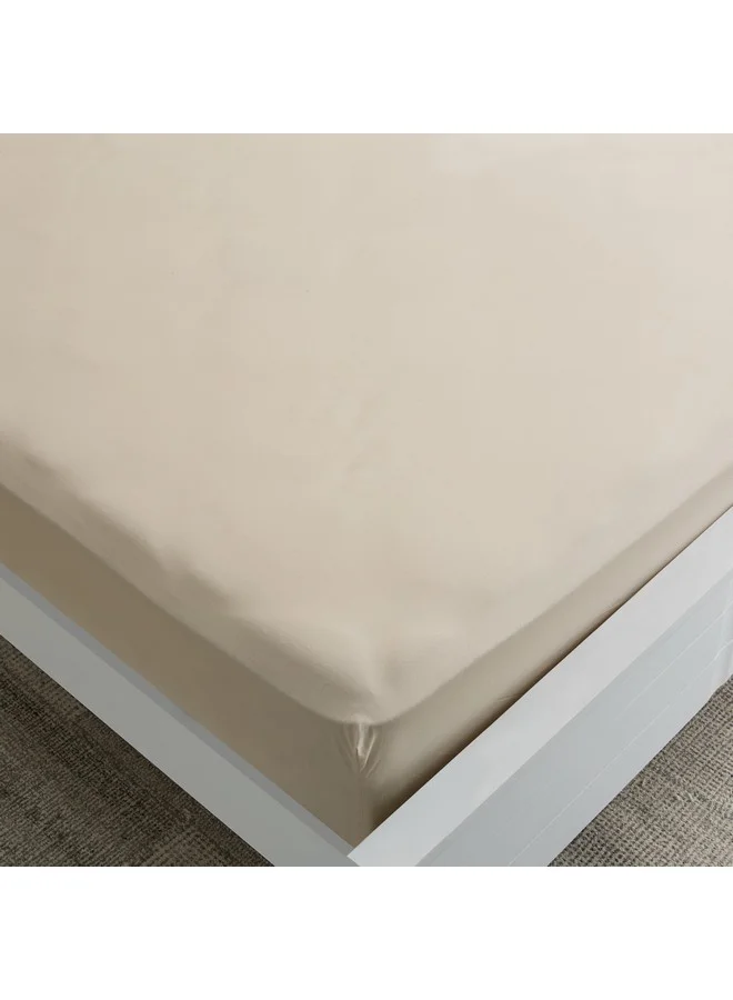 هوم بوكس شرشف سرير قطني أساسي مقاس سوبر كينج 200 × 200 × 36 سم