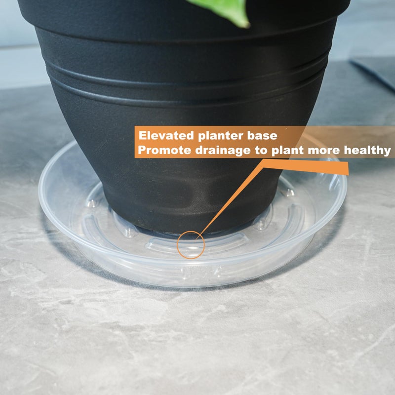 MSKIAUO 6 Packs Plant Saucer, Clear Pot Tray 6 8 10 12 14 Inch Plastic Flower Planter Saucers and Drip Trays for Indoors Outdoors, Heavy Durable Plant Plate Water Catcher (6 Inch) - Image 4