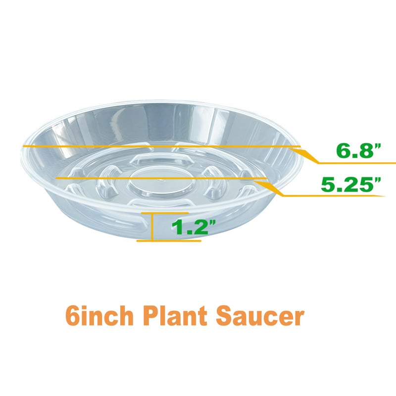 MSKIAUO 6 Packs Plant Saucer, Clear Pot Tray 6 8 10 12 14 Inch Plastic Flower Planter Saucers and Drip Trays for Indoors Outdoors, Heavy Durable Plant Plate Water Catcher (6 Inch) - Image 2