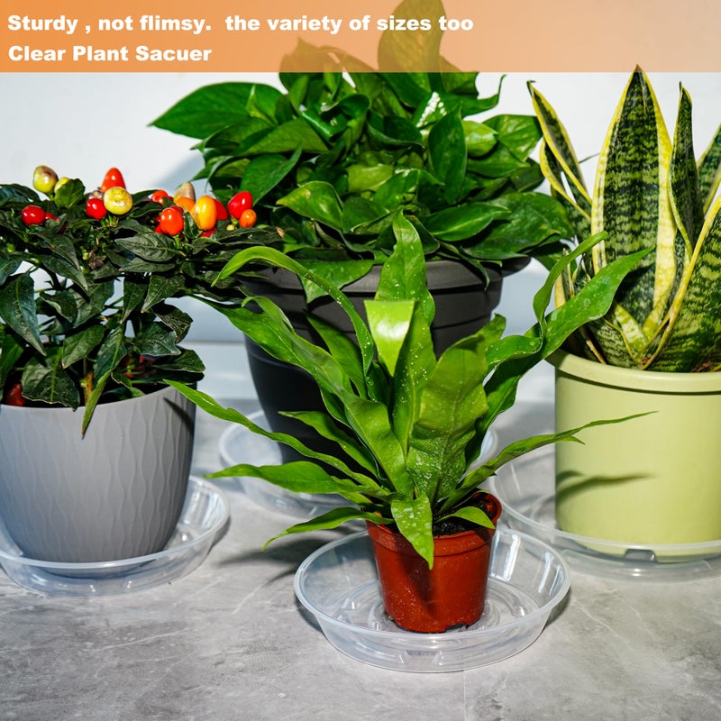 MSKIAUO 6 Packs Plant Saucer, Clear Pot Tray 6 8 10 12 14 Inch Plastic Flower Planter Saucers and Drip Trays for Indoors Outdoors, Heavy Durable Plant Plate Water Catcher (6 Inch) - Image 5