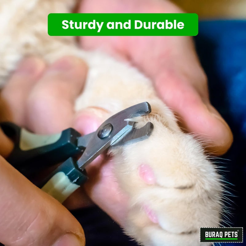 Buraq Pets Professional Dog Nail Cutter Scissor Trim Pet's Nails with Precision & Ease, Durable, Safe, Ergonomic Design for Cats, Dogs, and Other Small Animals (Dog Nail Cutter Scissor) - Image 5