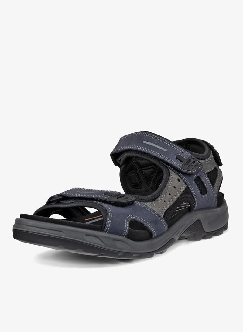 إيكو إيكو أوف رود مارين