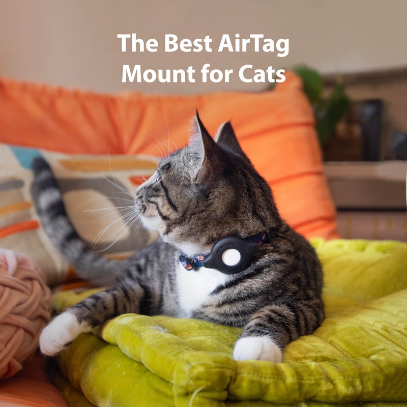 Elevation Lab AirTag Cat Collar Mount - TagVaultâ„¢ - The Secure & Compact AirTag Holder for Cats | Doesn't Dangle, for Small Dogs Too - Image 2