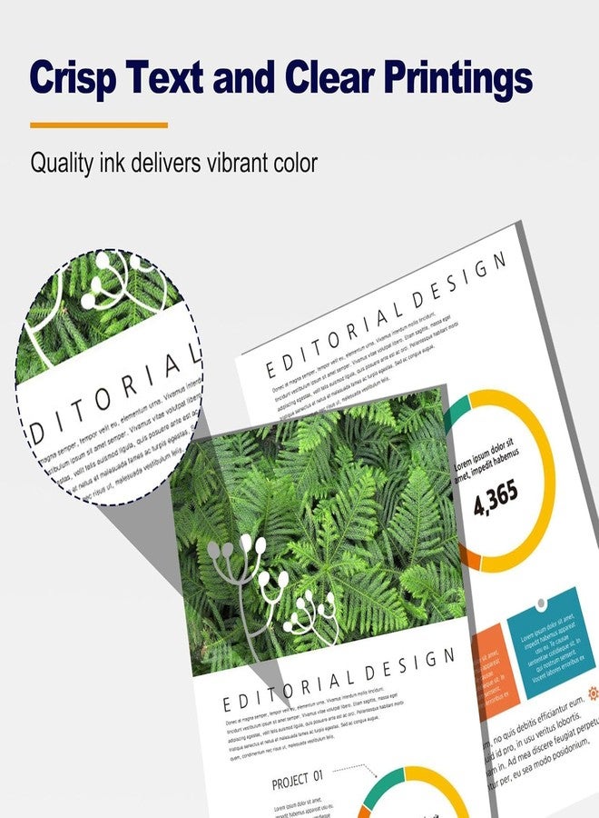 D-Fix شريط لاصق رغوي أبيض مزدوج الجوانب من دي-فيكس® - طول 5 أمتار - عرض 24 مم / 1 بوصة - عبوة من 3 قطع، متعدد الاستخدامات، مثالي للتركيب، التصاق قوي بالجدران، الأعمال الحرفية، وتثبيت الأثاث - Image 4