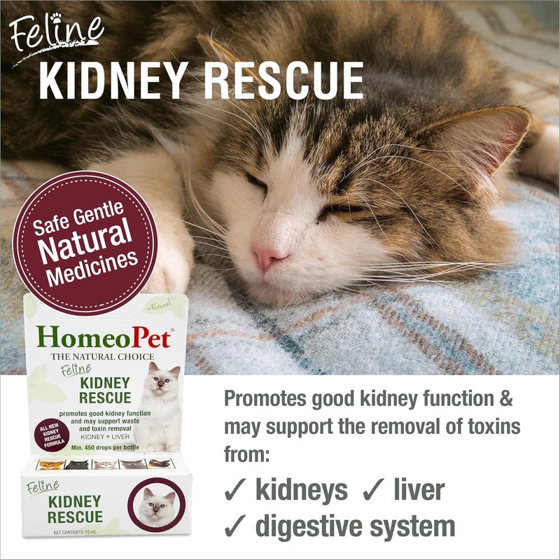 HomeoPet Feline Kidney Rescue Safe and Natural Renal Supplement for Cats and Kittens 15 Milliliters - Image 2