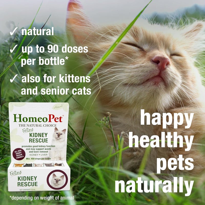 HomeoPet Feline Kidney Rescue Safe and Natural Renal Supplement for Cats and Kittens 15 Milliliters - Image 4