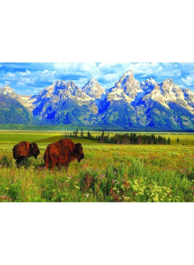 eurographics - Grand Teton National Park Photography By Steve Hinch 1000 Piece Puzzle - Image 1
