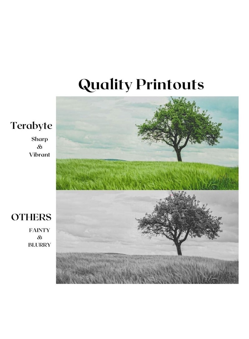 Terabyte 220D/2220D REPLACEMENT TONER TERABTE - Image 2